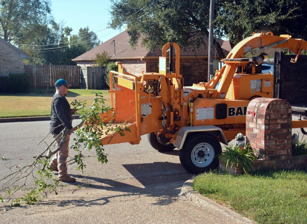 Murfreesboro Tree Experts brush-clearing-murfreesboro-tn