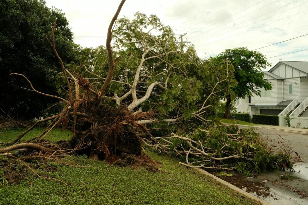 Murfreesboro Tree Experts storm-damage-tree-cleanup-murfreesboro-tn