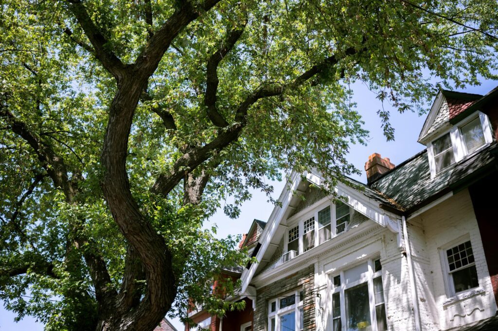 Murfreesboro Tree Experts tree-service-area-home-murfreesboro-tn